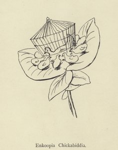 Enkoopia Chickabiddia by Edward Lear